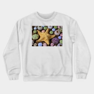 Giant Star And Sea Urchins Crewneck Sweatshirt